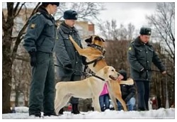 профессия полицейский