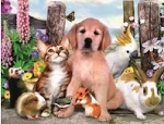 какие бывают животные