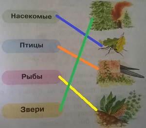 признаки групп животных
