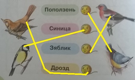 , , , 