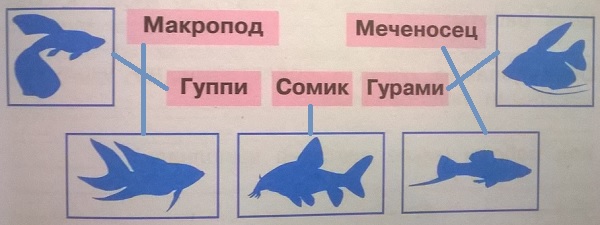 , , , , 