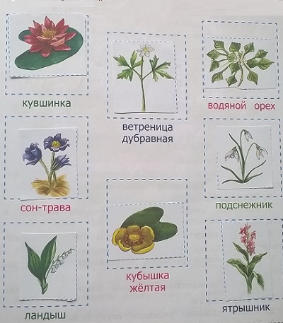 охрана растений