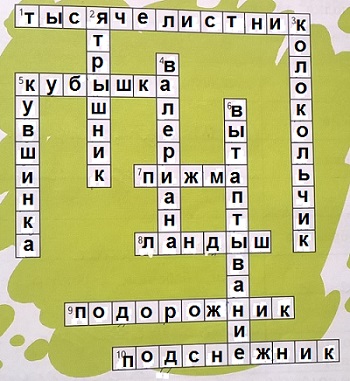 кроссворд растения
