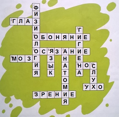 кроссворд органы чувств