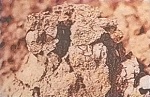 глина
