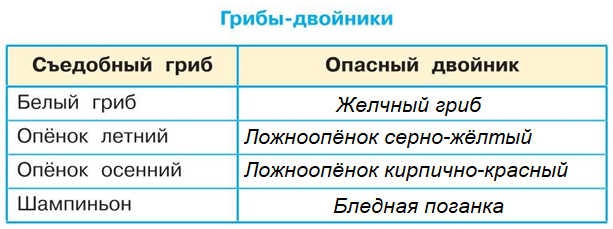 - :  ,  ,  ,    3    17  6