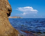 У тёплого моря