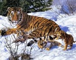 По страницам Красной книги