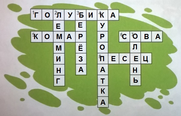 ""