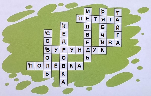 кроссворд " Леса России"