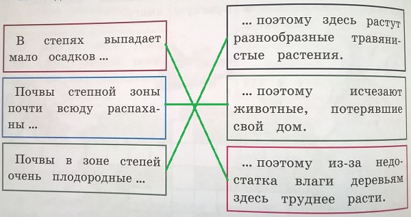 причины и следствия. Зона степей