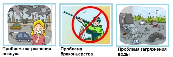 рисунки символы экологиеских проблем