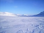 зона арктических пустынь