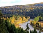 Леса России