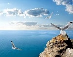 у Черного моря