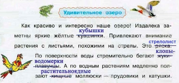 удивительное озеро