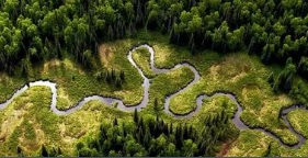 Амазонка