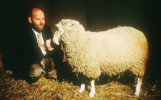   20 