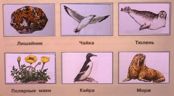 , , ,  , , 