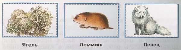 , , 
