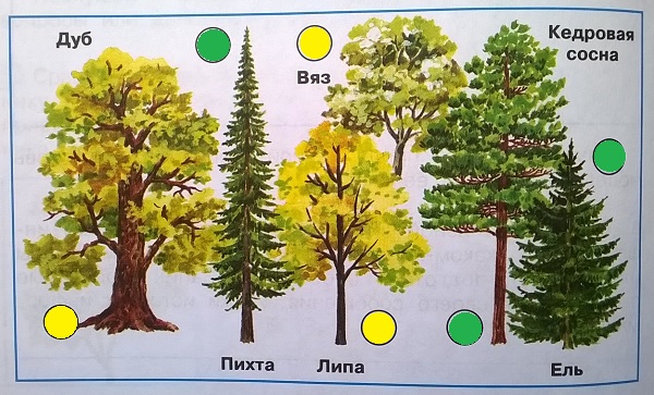 , , , ,  , 