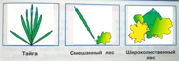  ",  ,  "